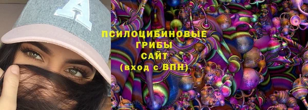 PSILOCYBIN Алзамай