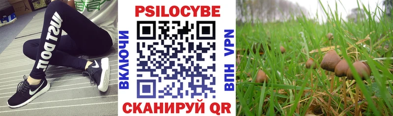 дарнет шоп  Чаплыгин  Псилоцибиновые грибы MAGIC MUSHROOMS 